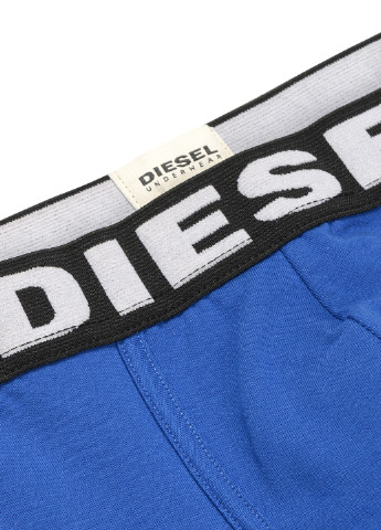 Трусы Diesel (202705969)