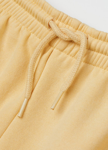 Штани H&M (315343255)