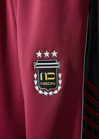 Бордовые спортивные демисезонные брюки SHEIN