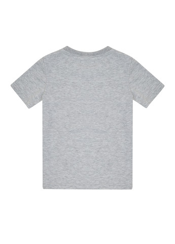 Серая летняя футболка Garnamama