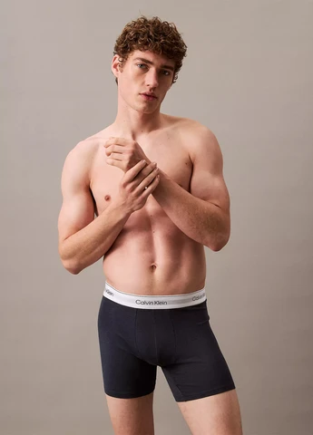 Труси (3 шт.) Calvin Klein (324228901)