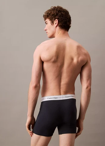 Труси (3 шт.) Calvin Klein (324228901)
