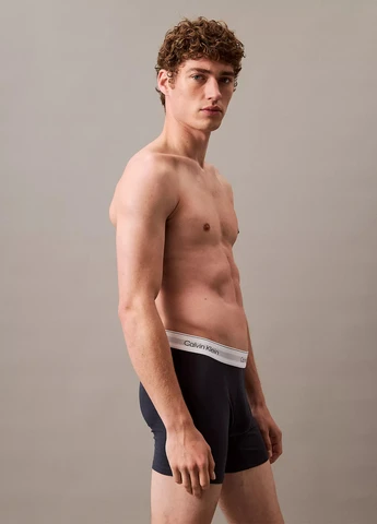 Труси (3 шт.) Calvin Klein (324228901)