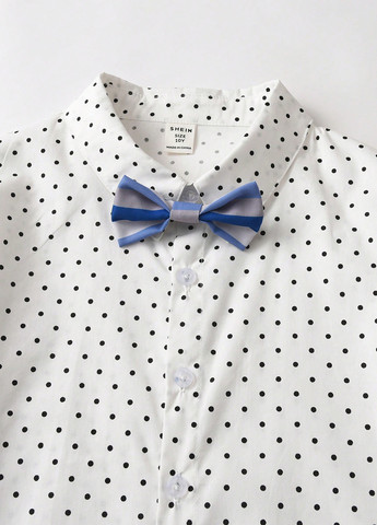 Синій демісезонний костюм (жилет, сорочка, штани) з сорочкою, брючний SHEIN