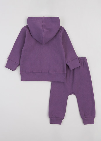 Костюм (толстовка, штани) Flamingo (361966595)