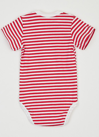 Боді ArDoMi (293004875)