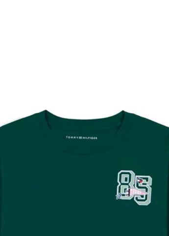 Зеленый демисезонный кэжуал лонгслив Tommy Hilfiger с надписями