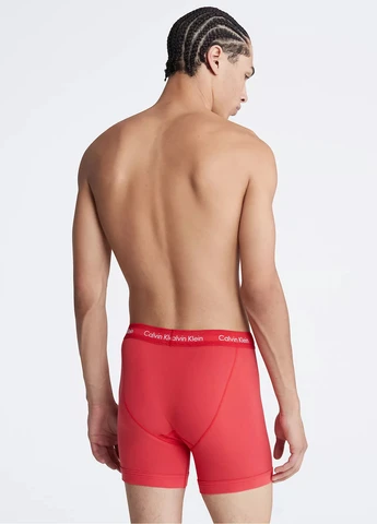 Труси (3 шт.) Calvin Klein (285456217)