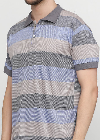 Серо-голубой футболка-поло для мужчин Chiarotex в полоску