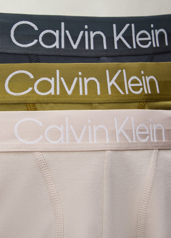 Трусы (3 шт.) Calvin Klein (366424656)