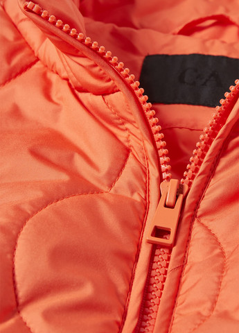 Жилет C&A (260215539)