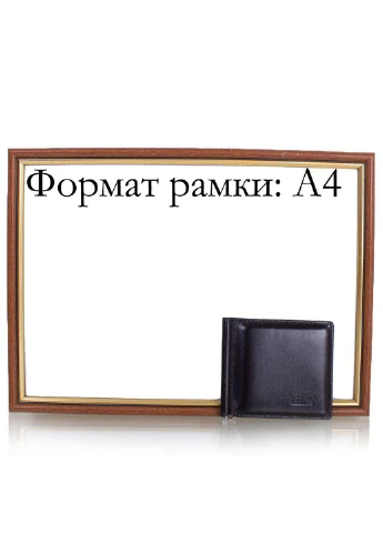 Чоловік шкіряний затиск для купюр 10х8х1 см Grass (195771675)