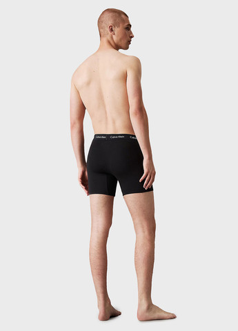 Труси (3 шт.) Calvin Klein (366292861)