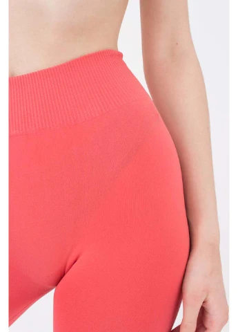 Легінси Giulia LEGGINGS (253155005)