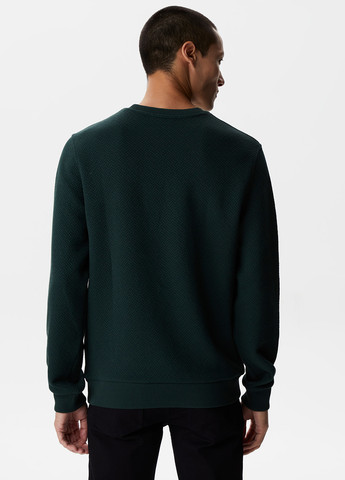 Смарагдовий демісезонний джемпер джемпер Lacoste