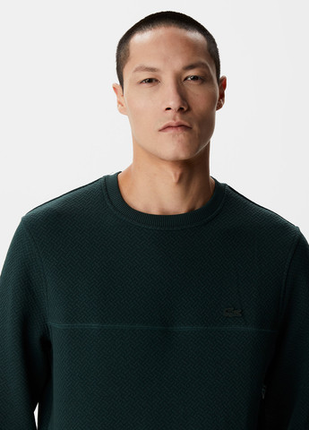 Смарагдовий демісезонний джемпер джемпер Lacoste