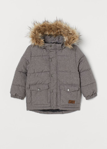 Сіра зимня куртка H&M