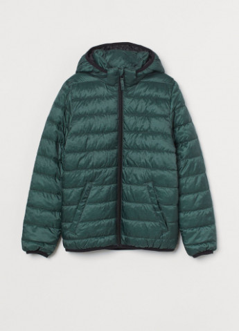 Зеленая демисезонная куртка демисезонная для мальчика H&M