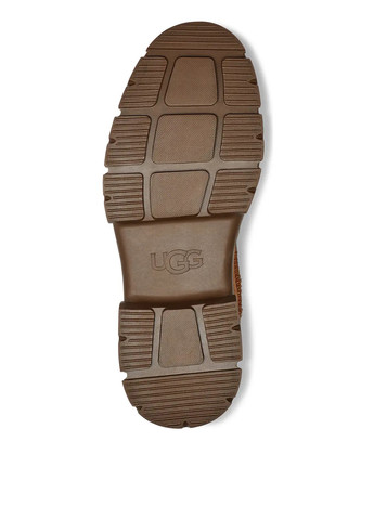 Черевики UGG (322234417)