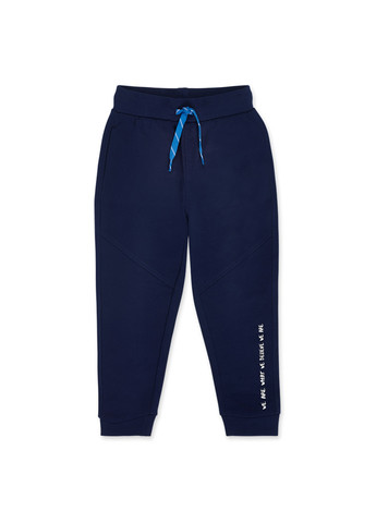 Темно-синие спортивные демисезонные джоггеры брюки Tuc Tuc