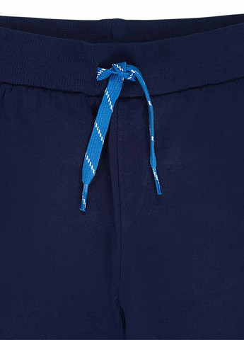 Темно-синие спортивные демисезонные джоггеры брюки Tuc Tuc