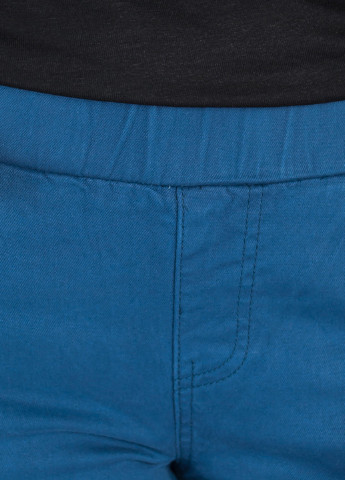 Синие демисезонные зауженные брюки Time of Style
