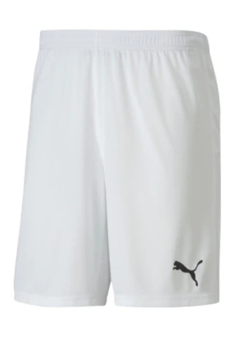 Шорты 704262-04 Puma teamGOAL 23 knit Shorts (328031940)
