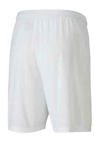 Шорты 704262-04 Puma teamGOAL 23 knit Shorts (328031940)