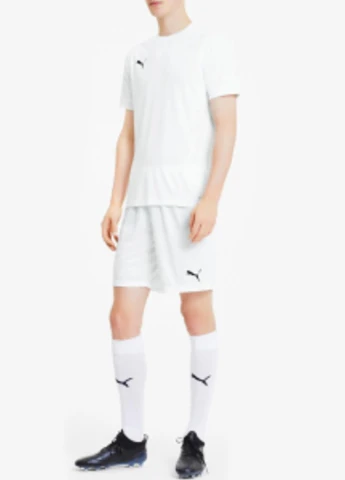 Шорты 704262-04 Puma teamGOAL 23 knit Shorts (328031940)