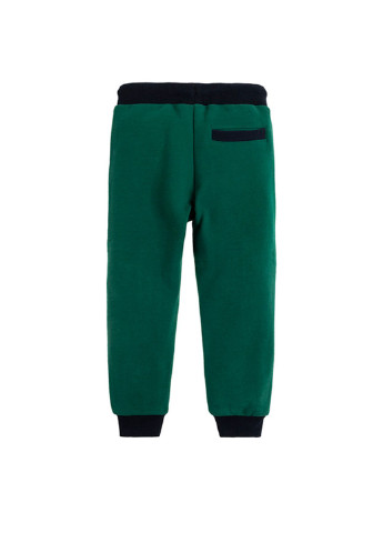 Темно-зеленые спортивные демисезонные брюки джоггеры Cool Club