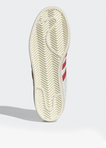 Білі осінні кросівки adidas SUPERSTAR ORIGINALS