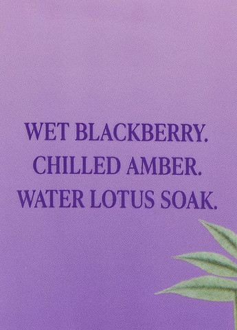 Лосьон Blackberry Bite, 250 мл Victoria's Secret (327577297)