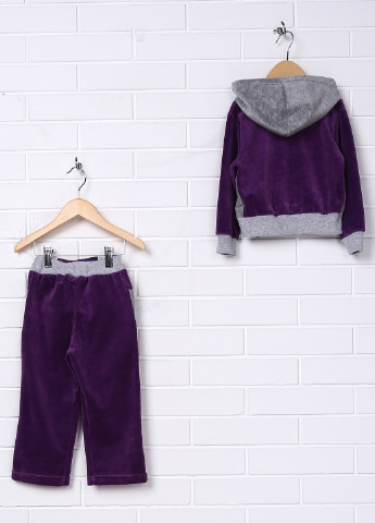 Темно-фіолетовий демісезонний костюм (толстовка, брюки) брючний Baby Art