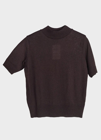 Темно-коричневий демісезонний джемпер джемпер Fashion