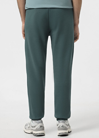 Серо-зеленые кэжуал, спортивные демисезонные джоггеры брюки Promin