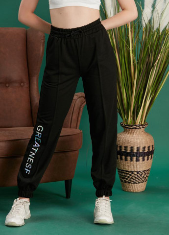 Черные спортивные демисезонные джоггеры брюки ECROU