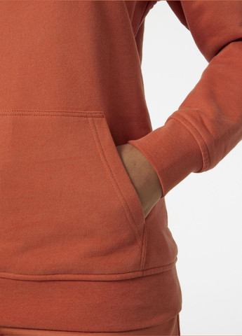 Худі 33978-179 Helly Hansen Logo Hoodie (321302773)