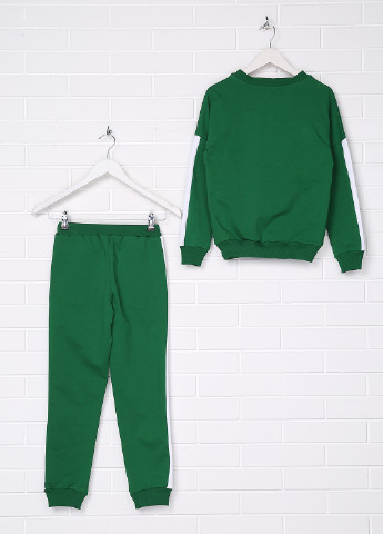 Зеленый демисезонный костюм (свитшот, брюки) брючный Роза