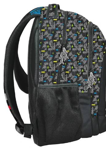 Молодежный рюкзак 32х44х25 см Paso (233420256)