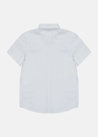Сорочка H&M (221820908)