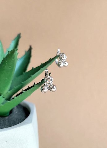 Серьги Silver Flame (301048206)