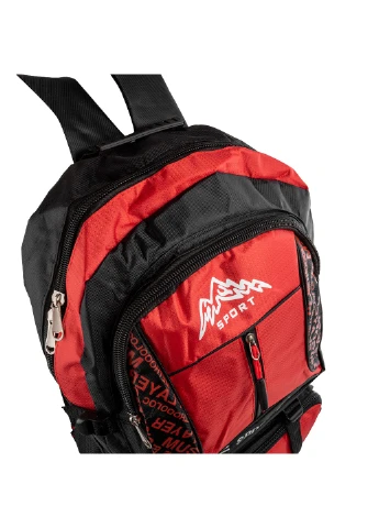Жіночий спортивний рюкзак 34х51х13 см Valiria Fashion (205132348)
