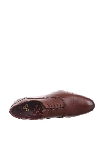 Темно-коричневые классические туфли Ted Baker на шнурках