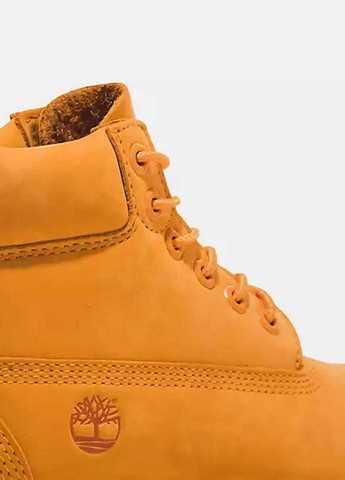 Черевики Timberland Premium 6-Inch Waterproof (327692818)