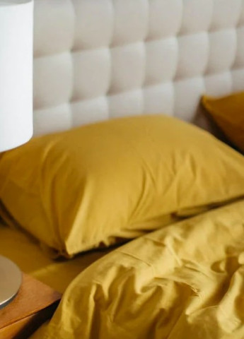 Комплект білизни з вареної бавовни Curry (євро-максі) Leglo (253942713)