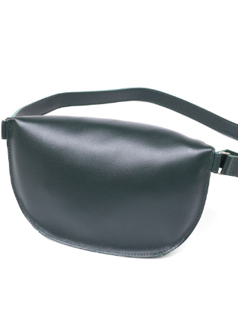 Жіноча шкіряна сумка на пояс 23х13х5 см Shvigel (253491401)