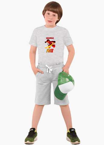 Світло-сіра демісезонна футболка дитяча кай лего ніндзяго (kai lego ninjago masters of spinjitzu) (9224-2639) MobiPrint