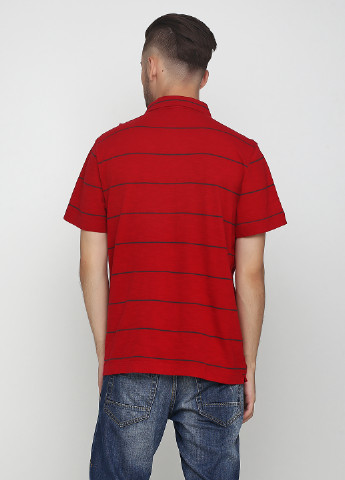 Красная футболка-поло для мужчин Calvin Klein Jeans в полоску