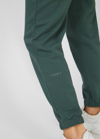 Зеленые спортивные демисезонные джоггеры брюки PRPY