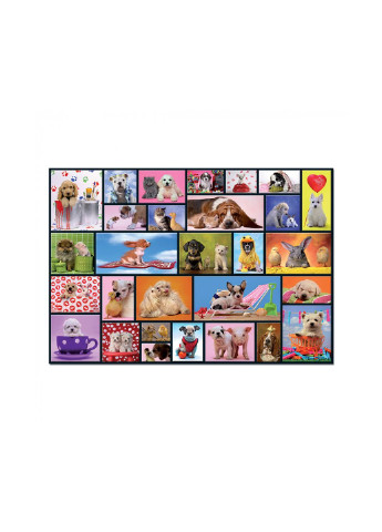 Пазл Общие моменты 1000 элементов (6425288) Educa (252406638)